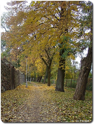 Trzcisko - Zdrj w jesiennej krasie