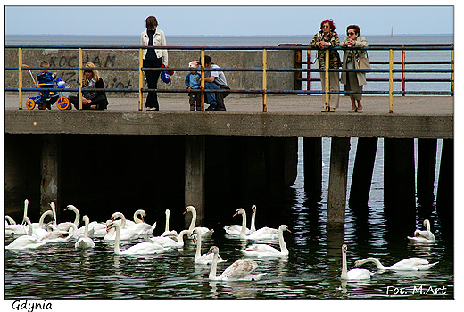 Gdynia - Gdynia Gwna: Bulwar Nadmorski