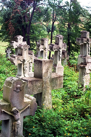 Stary cmentarz w Radruu. Roztocze