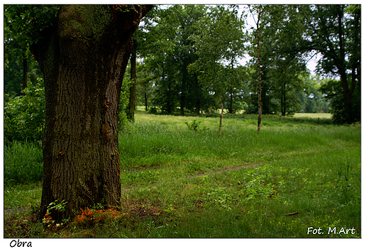 Obra - park przy klasztorze Ksiy Oblatw