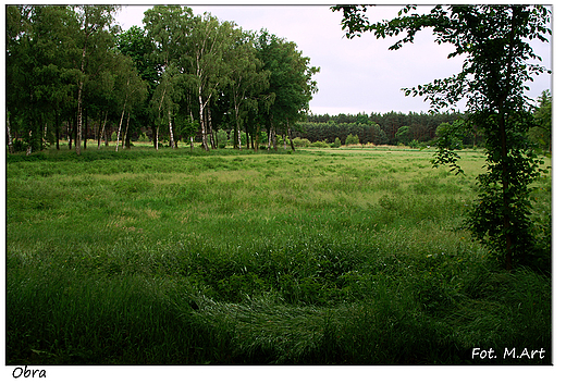 Obra - park przy klasztorze Ksiy Oblatw