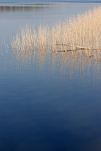 Jezioro Wysokie Brodno - przedwionie