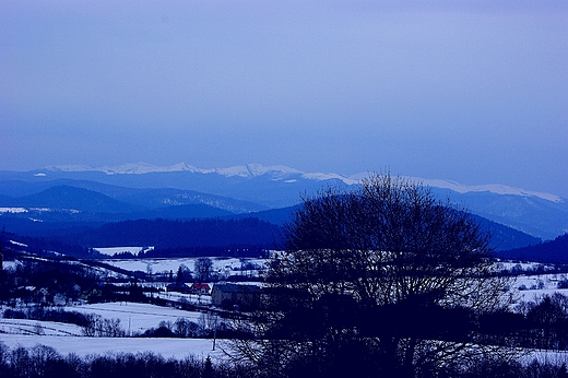 Gniazdo Tarnicy