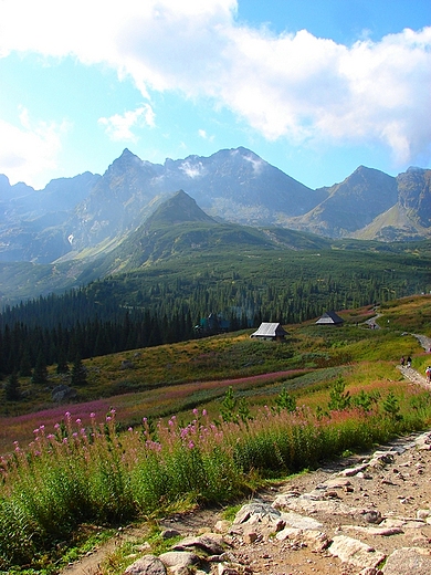 Widok na Hal Gsienicow