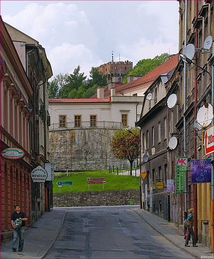 Widok z  Al.yska na Wzgrze Zamkowe w  Cieszynie