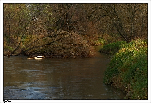 ydw - rzeka Prosna