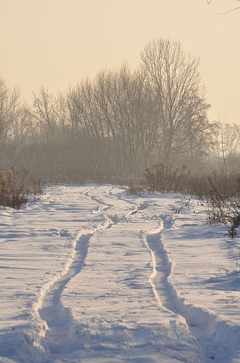zimowa droga przez pola