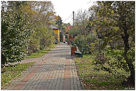 Park. Osięciny