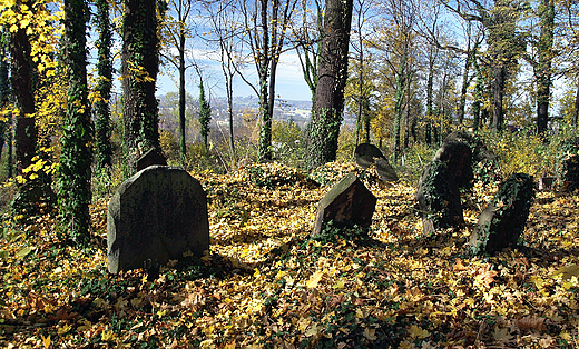 Cieszyn.Stary Cmentarz ydowski.