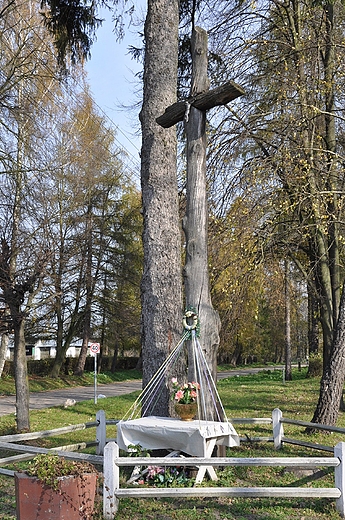 krzy przydrony na terenie stajni k. Janowa Podlaskiego