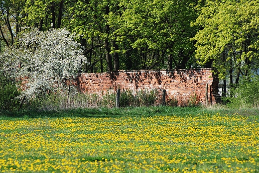 Mur otaczajcy paac w Jabonnej