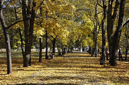 jesienny park w Wilanowie