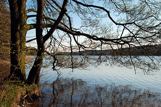 Jezioro Niskie Brodno