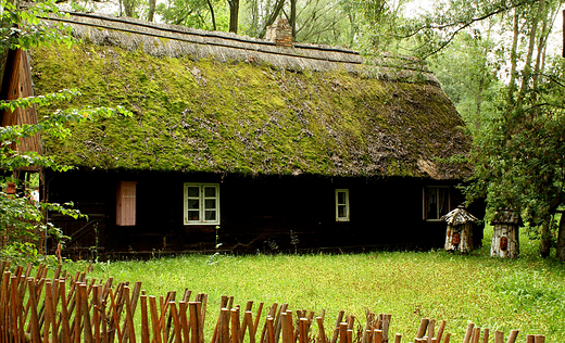 Rezerwat archeologiczny - Biskupin