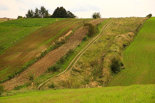 Roztoczaskie pola