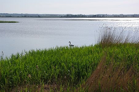 Jezioro arnowieckie