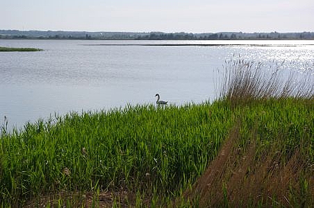 Jezioro arnowieckie