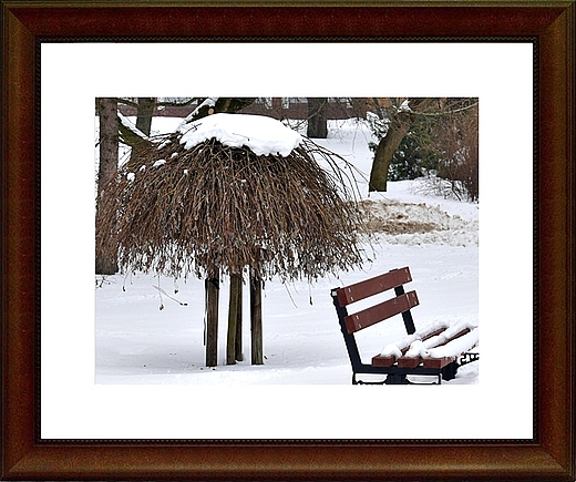 Zima w parku koszalińskim.