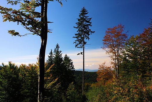 Rudawski Park Krajobrazowy