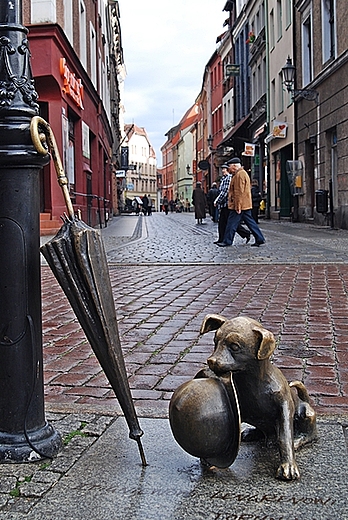 Toru Rynek Pomnik Filusia, parasol i kapelusz prof.Filutka