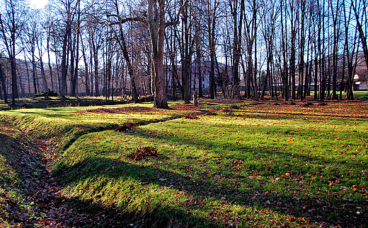 Park krajobrazowy przy zamku.