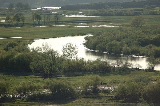 Widok na Narew