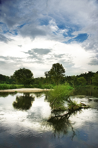 Nida w okolicy Mokrska Dolnego