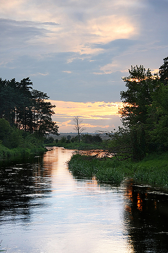 Nida w okolicy Mokrska Dolnego