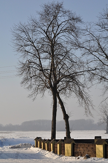 zimowy krajobraz - Tum