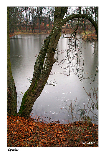 Oporw - pnogotycki zamek rycerski w Oporowie: park