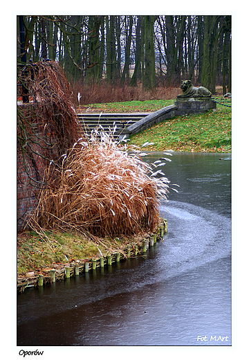 Oporw - pnogotycki zamek rycerski w Oporowie: park