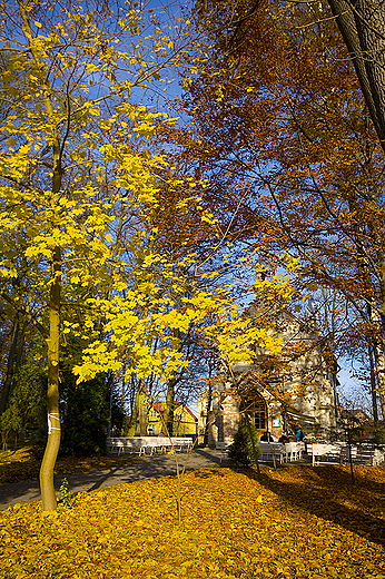 Park uzdrowiskowy