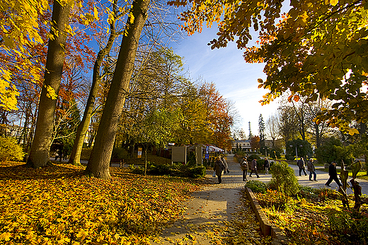 Park uzdrowiskowy