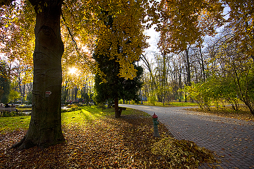 Park uzdrowiskowy