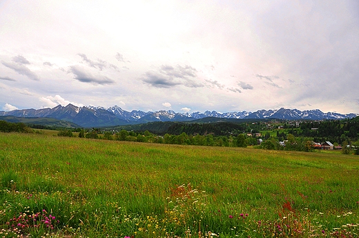 Panorama z Jurgowa