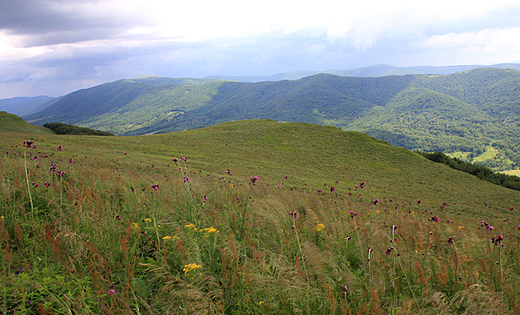 Bieszczady