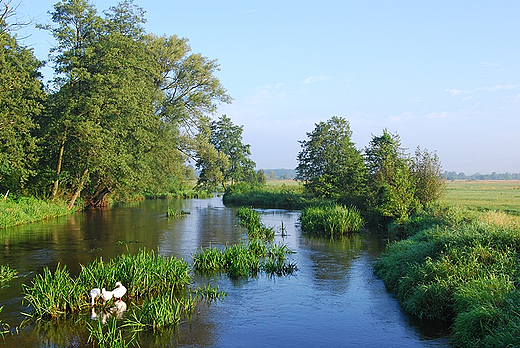 Biaa Nida erniki 17.08.2010