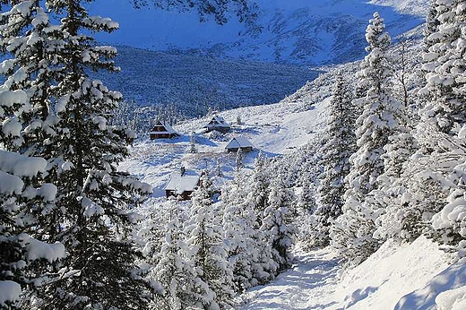 Hala Gsienicowa. Tatry