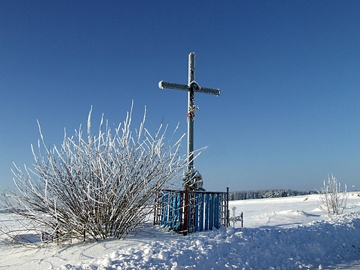 okolica Janowa Podlaskiego