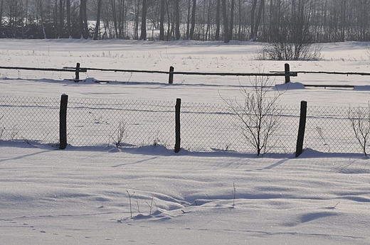 zimowe pola nad Bugiem