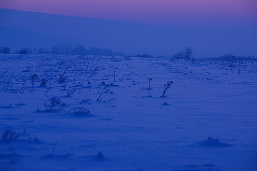 Przed witem. Krajno