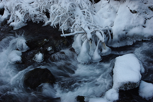 Dolina Kocieliska