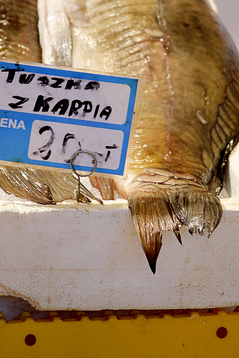 Hala Targowa w Gdyni - karp nie tylko na wita