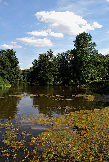 Park miejski.