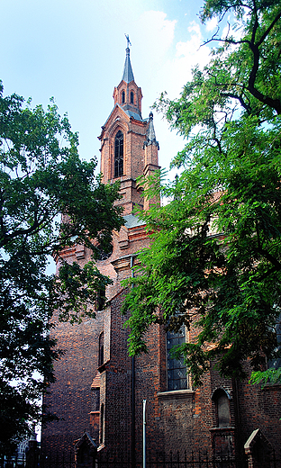Katedra w. Mikoaja Biskupa.