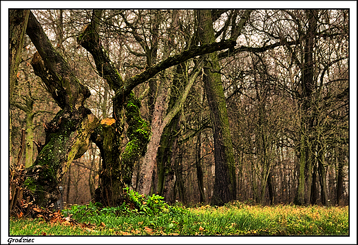 Grodziec - XVIII wieczny park krajobrazowy okalajcy zesp paacw