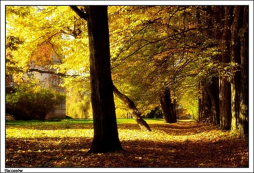 Taczanw - park krajobrazowy okalajcy paac Taczanowskich