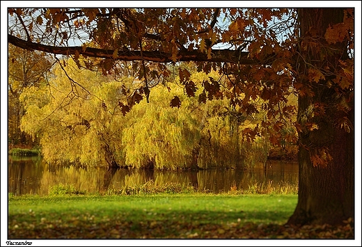 Taczanw - park krajobrazowy okalajcy paac Taczanowskich