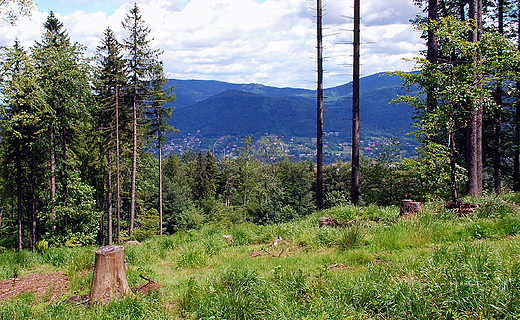 Beskid lski.