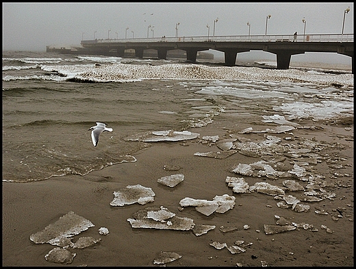 Koobrzeg.